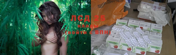 шишки Бугульма