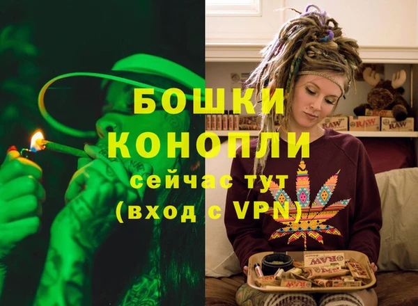 ECSTASY Богородицк