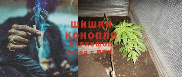шишки Бугульма