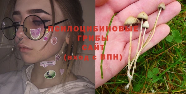 шишки Бугульма