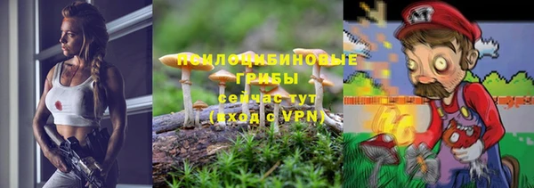 шишки Бугульма
