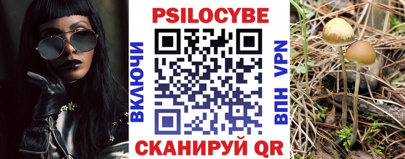 Псилоцибиновые грибы мухоморы  Ярославль 